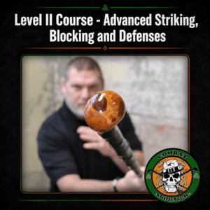 Irish Stick Fighting Level II Course