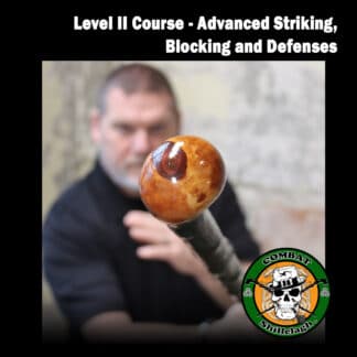 Combat Shillelagh Level II - Brown Belt Distance Learning Course