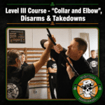 Irish Stick Fighting Level III Course