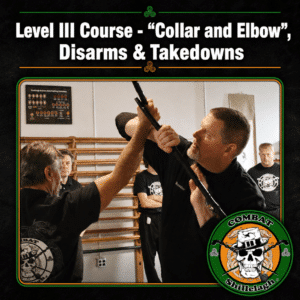 Irish Stick Fighting Level III Course