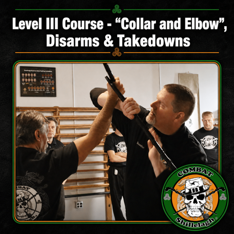 Irish Stick Fighting Level III Course