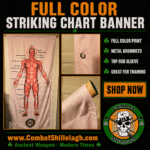 Irish Stick Fighting Striking Chart Banner