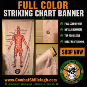 Irish Stick Fighting Striking Chart Banner