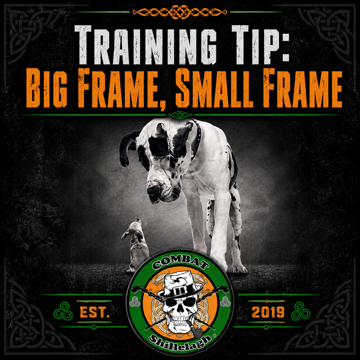 Big Frame Small Frame