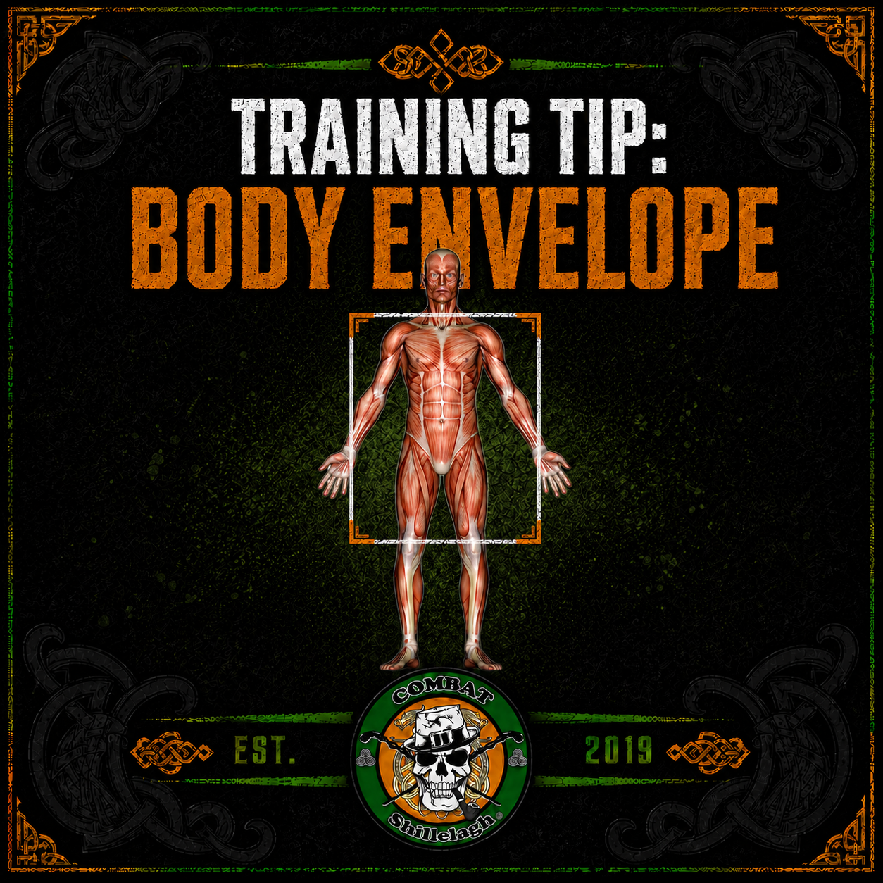 The Body Envelope in Irish Stick Fighting