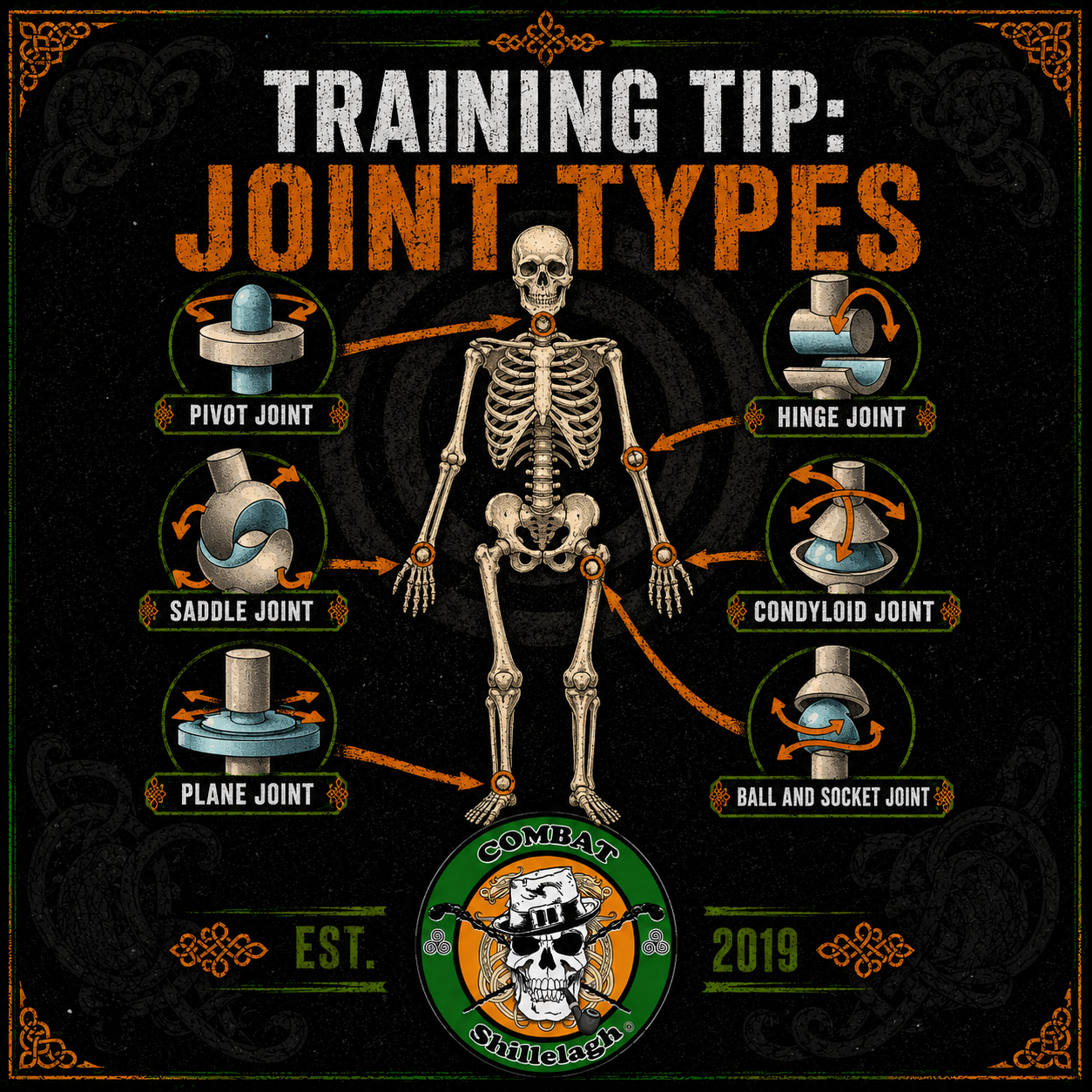 Joint Types and the Shillelagh: Using Leverage to Control Structure in Irish Stick Fighting